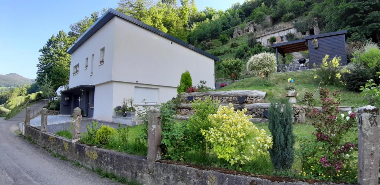 Gite "Lili" Lapoutroie Exterior foto